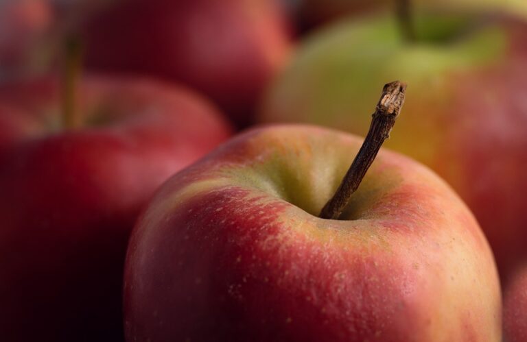 Apfel 5183288 960 720