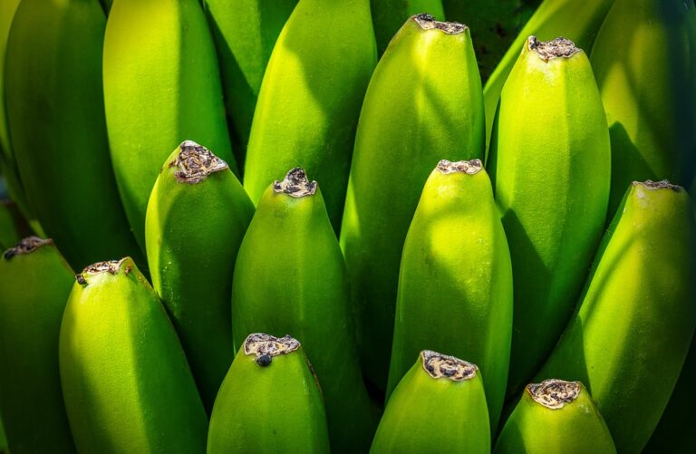 banantre 8067514 960 720
