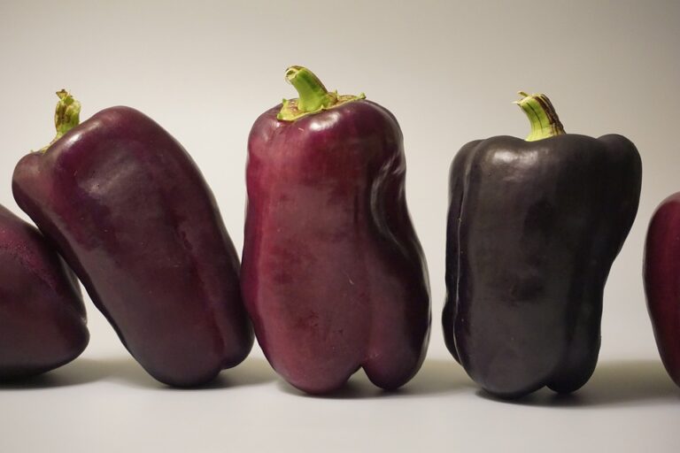 vegetables 8319696 960 720